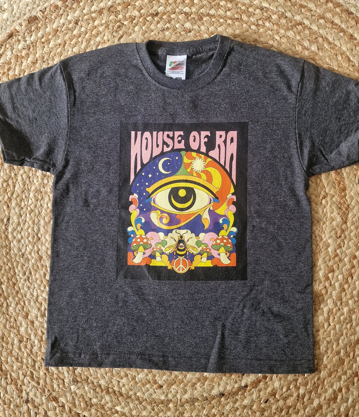 'House of Ra' design kids t-shirt in Charcoal grey